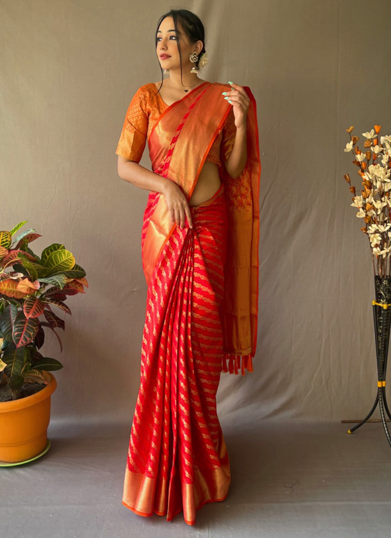 Top 20 Traditional Ways of Saree Draping Style  You Should Try  Blog